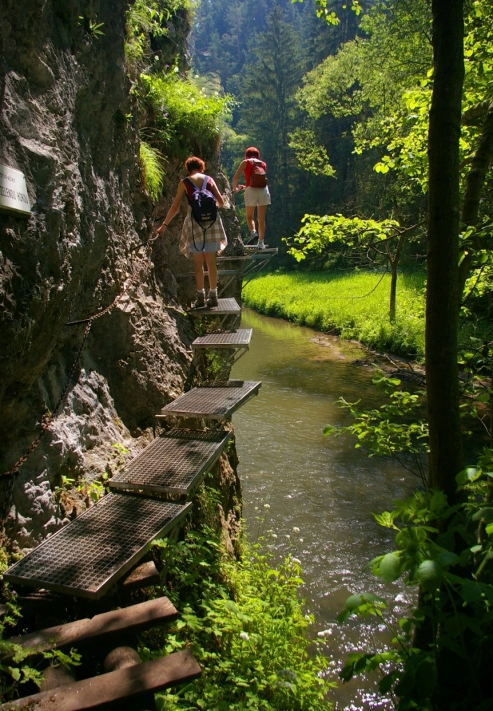 zobacz camping - zdjęcie 12