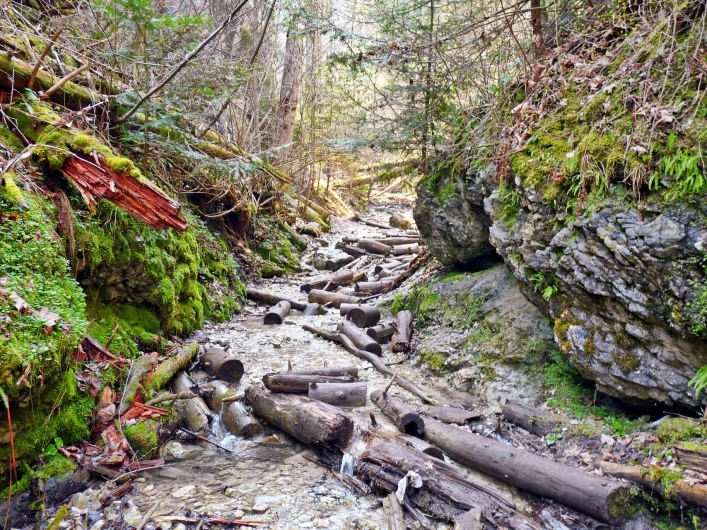 zobacz camping - zdjęcie 10