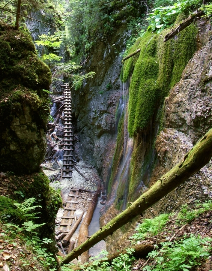 zobacz camping - zdjęcie 9