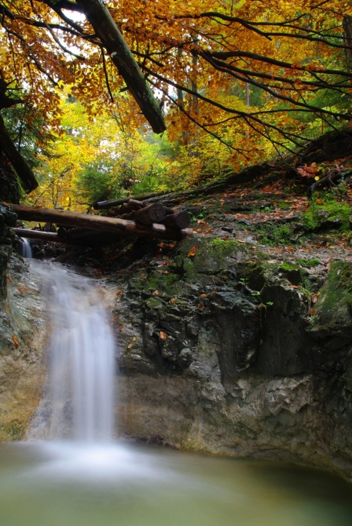 zobacz camping - zdjęcie 7