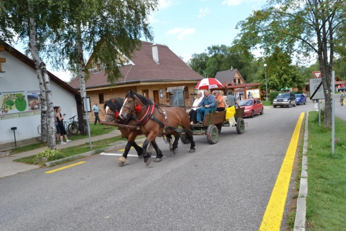 zobacz camping - zdjęcie 6