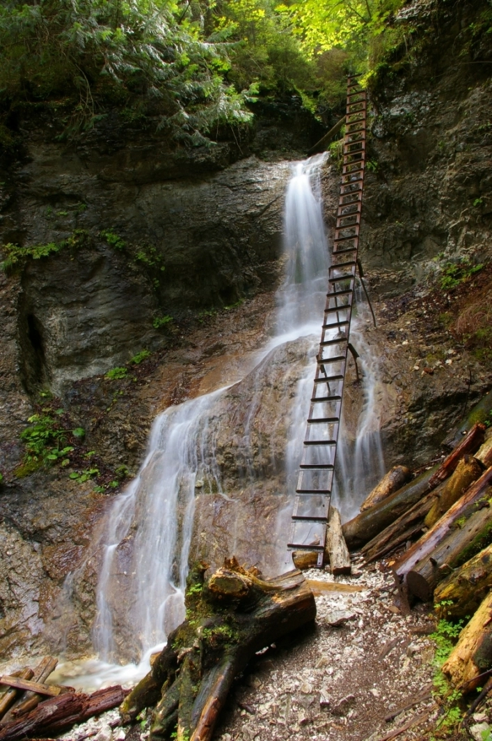 Autocamping Podlesok - zdjęcie 3