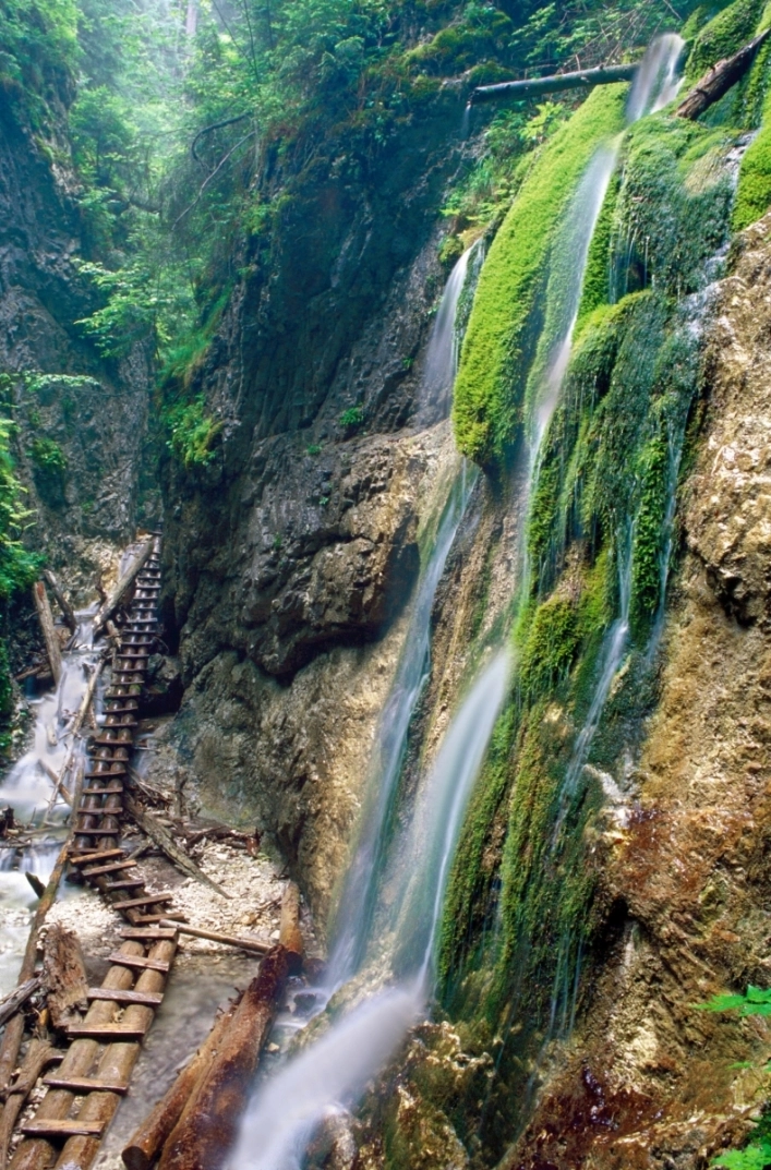 Autocamping Podlesok - zdjęcie 1