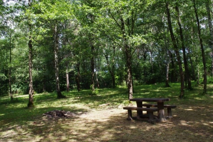 zobacz camping - zdjęcie 21