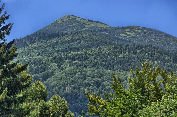 zobacz camping - zdjęcie 17