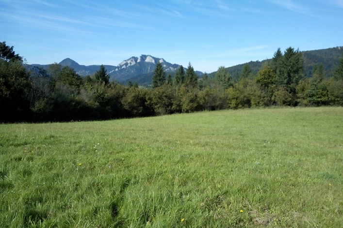 zobacz camping - zdjęcie 5