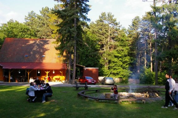 zobacz camping - zdjęcie 16