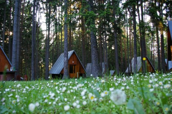 zobacz camping - zdjęcie 14