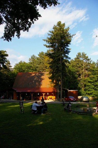 zobacz camping - zdjęcie 11