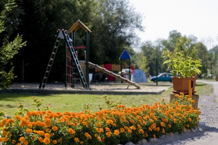 zobacz camping - zdjęcie 8