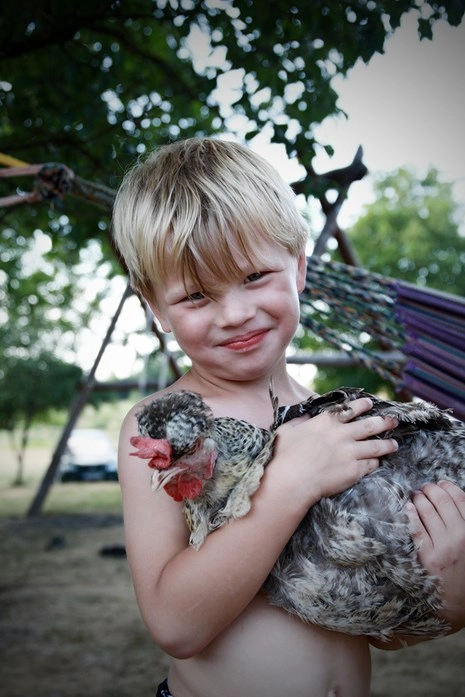 zobacz camping - zdjęcie 14