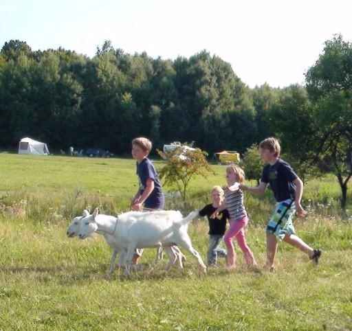 zobacz camping - zdjęcie 8