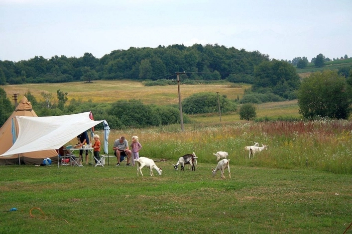 zobacz camping - zdjęcie 7