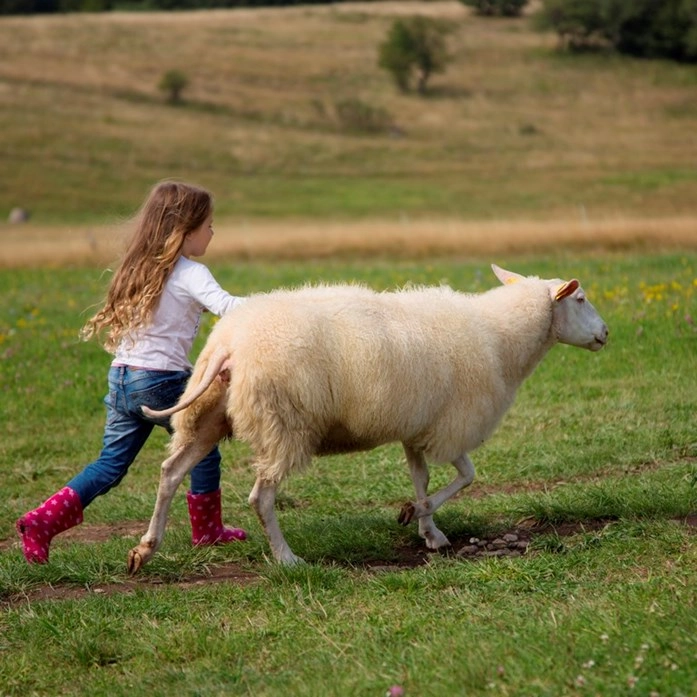 zobacz camping - zdjęcie 6