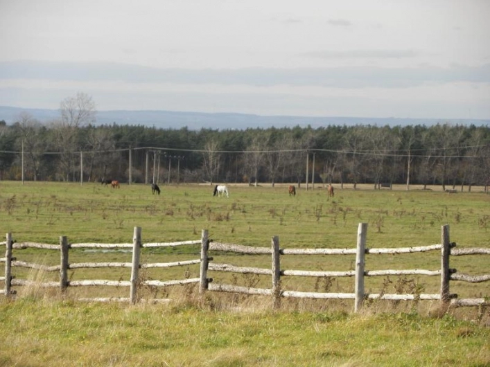 zobacz camping - zdjęcie 17