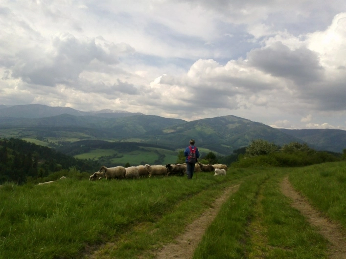 zobacz camping - zdjęcie 18