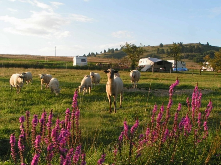 zobacz camping - zdjęcie 14