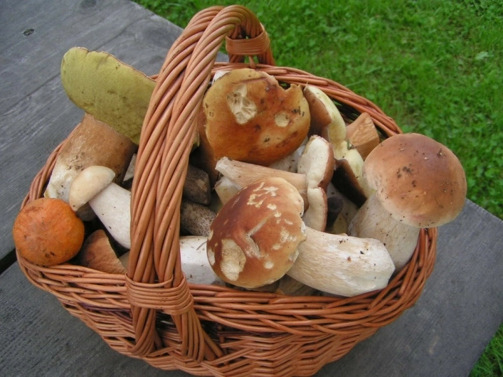 zobacz camping - zdjęcie 10