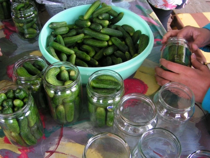 Camping Sedliacky Dvor / Het Boerenhof - zdjęcie 2