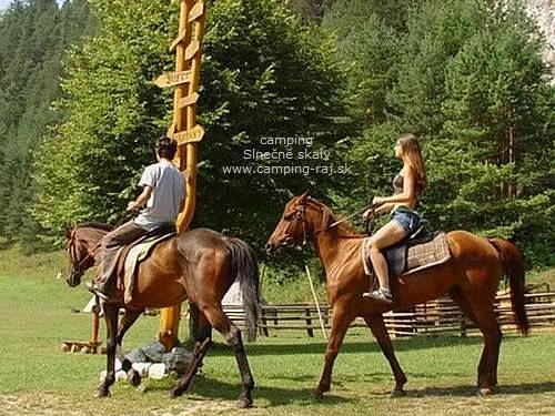 zobacz camping - zdjęcie 7