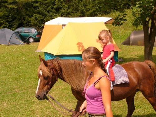 zobacz camping - zdjęcie 3