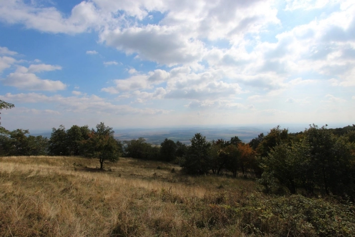 zobacz camping - zdjęcie 20