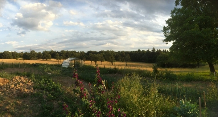 zobacz camping - zdjęcie 18