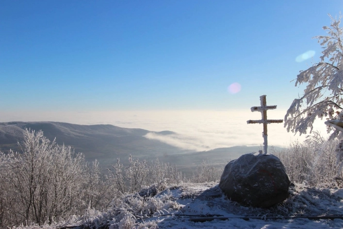 zobacz camping - zdjęcie 12