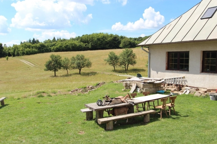 zobacz camping - zdjęcie 11