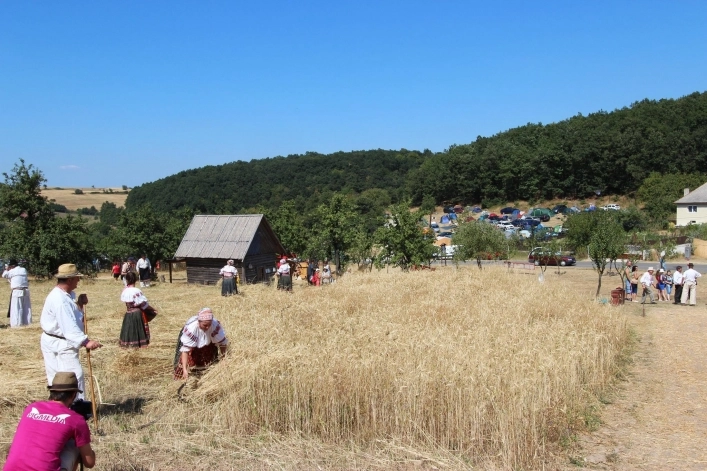 Camping Slovakia - zdjęcie 2