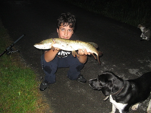 zobacz camping - zdjęcie 27