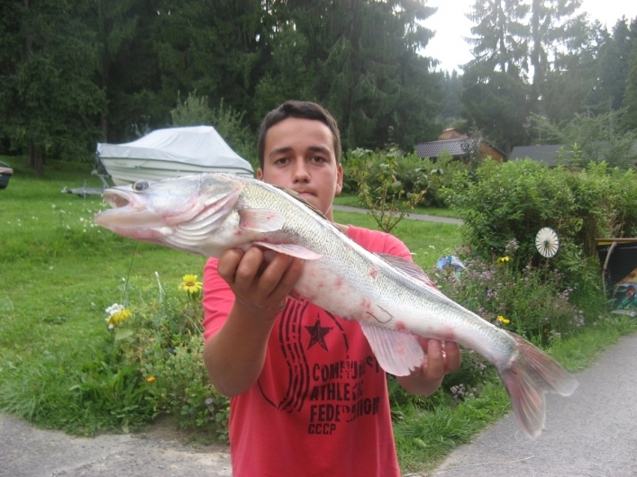 zobacz camping - zdjęcie 12