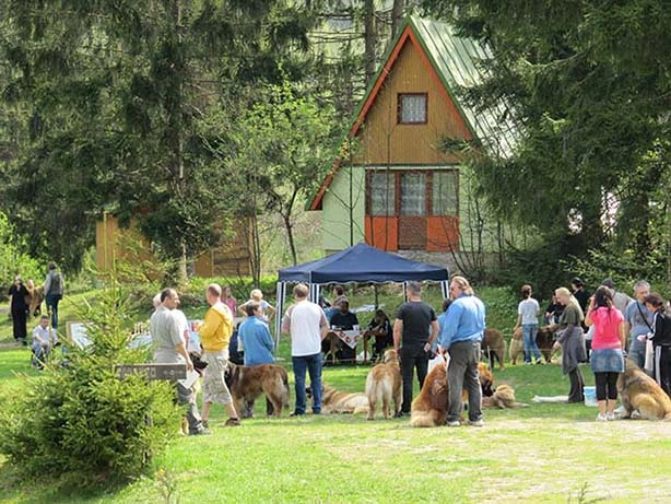 zobacz camping - zdjęcie 30