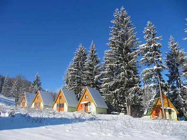 zobacz camping - zdjęcie 23