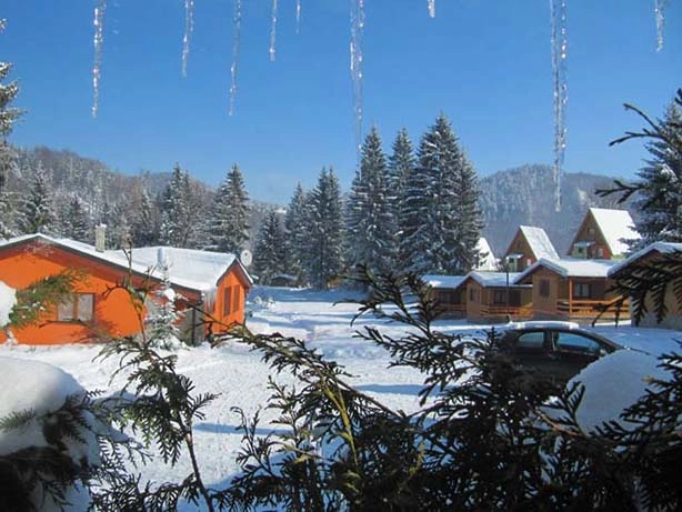 zobacz camping - zdjęcie 9