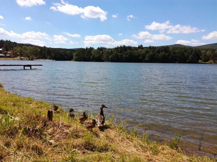 zobacz camping - zdjęcie 32