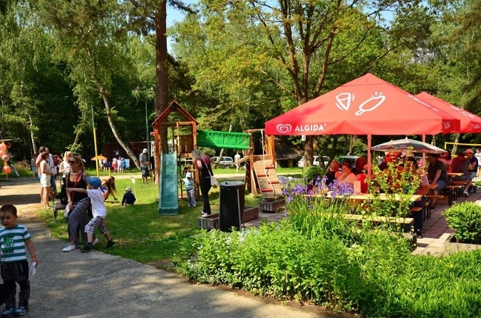 zobacz camping - zdjęcie 29