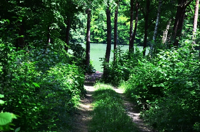 zobacz camping - zdjęcie 26