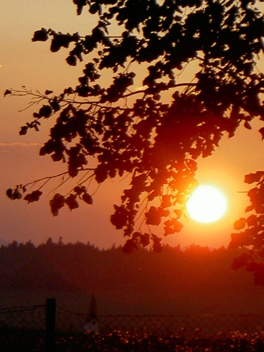 zobacz camping - zdjęcie 22