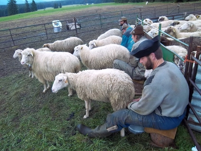 zobacz camping - zdjęcie 20