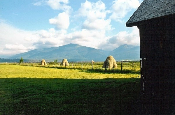 zobacz camping - zdjęcie 15