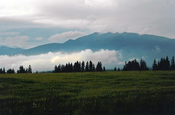 zobacz camping - zdjęcie 13