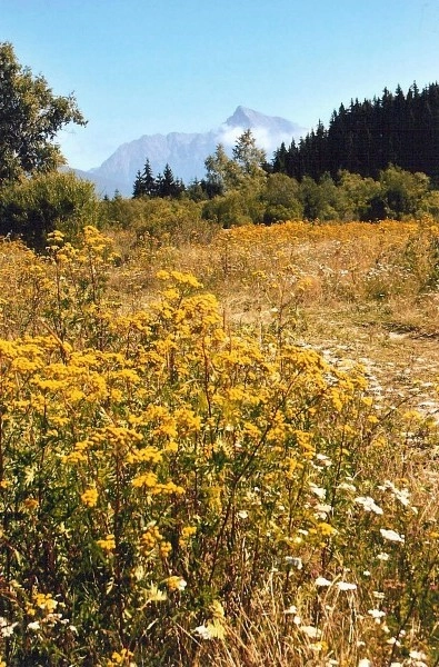 zobacz camping - zdjęcie 7