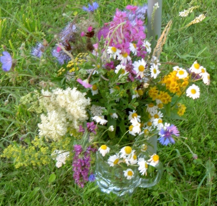 zobacz camping - zdjęcie 6