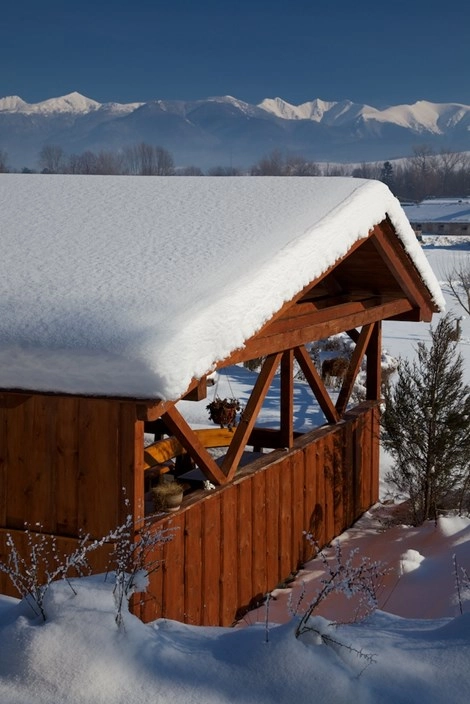 Villa Betula Camping*** - zdjęcie 1