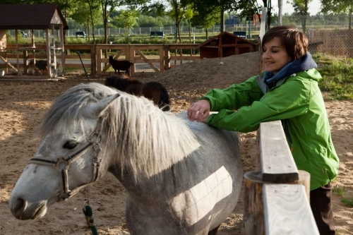 zobacz camping - zdjęcie 7