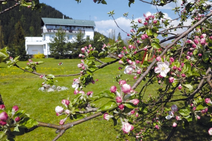 zobacz camping - zdjęcie 43