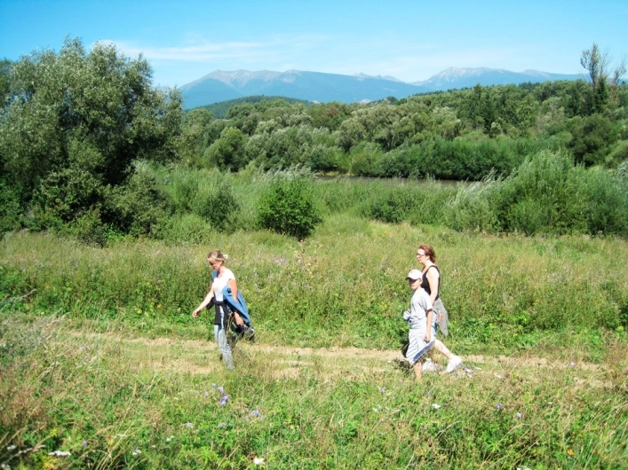 zobacz camping - zdjęcie 17