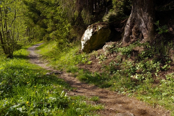 zobacz camping - zdjęcie 15