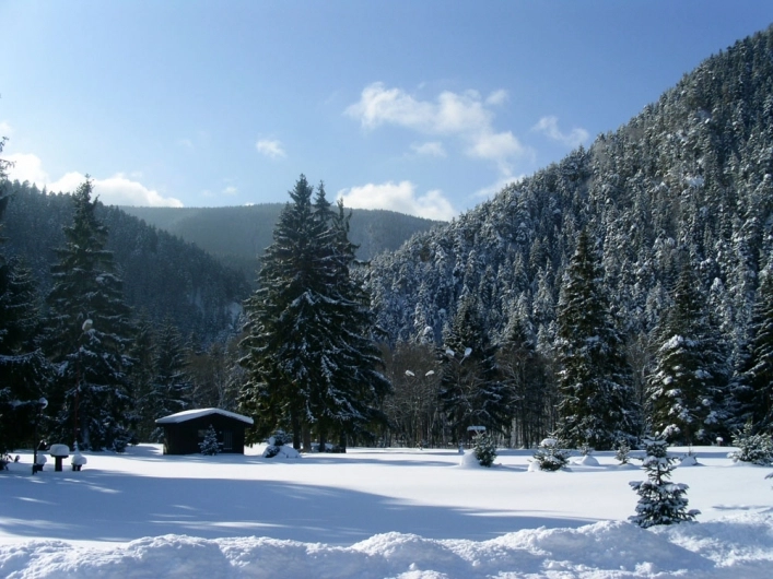 zobacz camping - zdjęcie 11